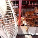 황구건강원 이미지