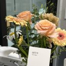 아르브헤어 arvv 이미지