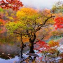 (주)베스트로 이미지