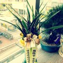 신우치과기공소 이미지