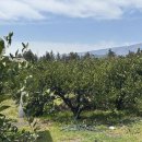 토평동-1 이미지