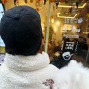 반려견 2호점 이미지