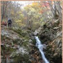 노고단-5 이미지