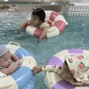 사파동192 이미지