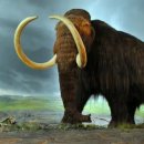 맘모스 이미지