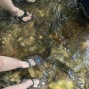 양지편길 이미지