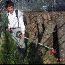 안이하우스 이미지