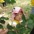 송제농원 이미지