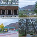 영월청령포 | 영월 단종 유배지 영월 청령포 단풍 실시간