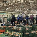 안동농협농산물공판장 이미지