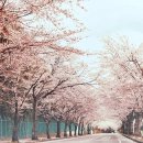 엠폴리싱