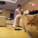 본미미 민박 이미지