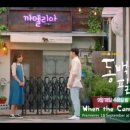 까페까멜리아 이미지