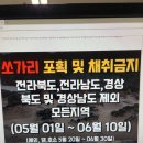 금어기는 지켜져야 한다! 이미지