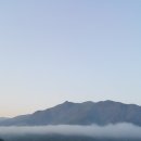 펜션화수목 이미지