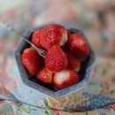 매향농장 | 설향딸기 농대생 이민재/설향딸기 믿고 주문하는곳