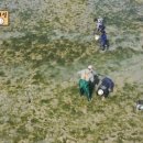 외안도 네이버블로그