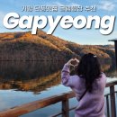 엘리트모텔 | 경기도 가평 카라반 글램핑장 추천 청평 포세이돈 후기