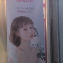 더설렘 이미지