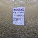 천전동-2 이미지