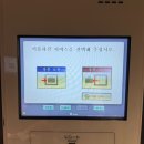 [후쿠오카 숙소] 딸이랑 다녀온 프린스 스마트 인 하카타 더블룸 솔직후기 (가성비, 위치, 조식 꿀팁)