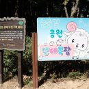 늘솔길공원양떼목장 이미지