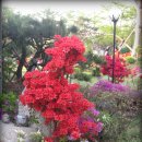 정원고기마을 이미지