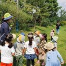 평화레저타운 이미지