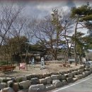 돌콩새 이미지