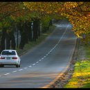 청주가로수길 이미지
