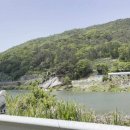 목도민물고기집식당 이미지