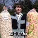 밀밀 이미지