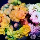 허리인한의원 이미지