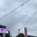홍주천년한과