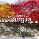 마곡사 가는길 민박 | 11월 공주 단풍 스팟 추천 마곡사 공주 메타세콰이어길