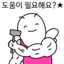 렌탈요정