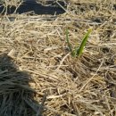 예진농장 이미지