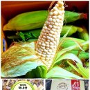 홍천냉동 이미지