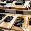 박사김밥 | 현대백화점 판교 줄서서 먹는 김밥? 추박사 자취생김밥 팝업 솔직 후기