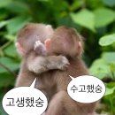김대흥 | 한국사능력검정시험 63회 후기!(벼락치기의 민족)