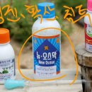 정균농장 Daum카페