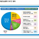 외국인 주택투기 기획조사 결과[해외자금 불법반입] 이미지