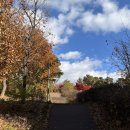 다온팜스 이미지