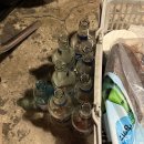 안녕포차 | 대학로 포장마차 안주맛집 뒤풀이 명륜포차 내돈내산 후기