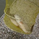 k1한국바다낚시터 이미지