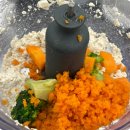 브로콜리 펫푸드 이미지