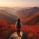 강변의 수채화 | 구례 단풍 명소, 11월 지리산 피아골·섬진강변 절정기 여행 후기