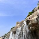 아라애견 이미지