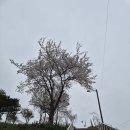 구 강경침례교회 최초예배지 | 옥녀봉 노을 명소 논산 가볼만한곳 최초 예배지