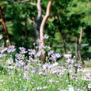 풍경이 머무는 곳 이미지